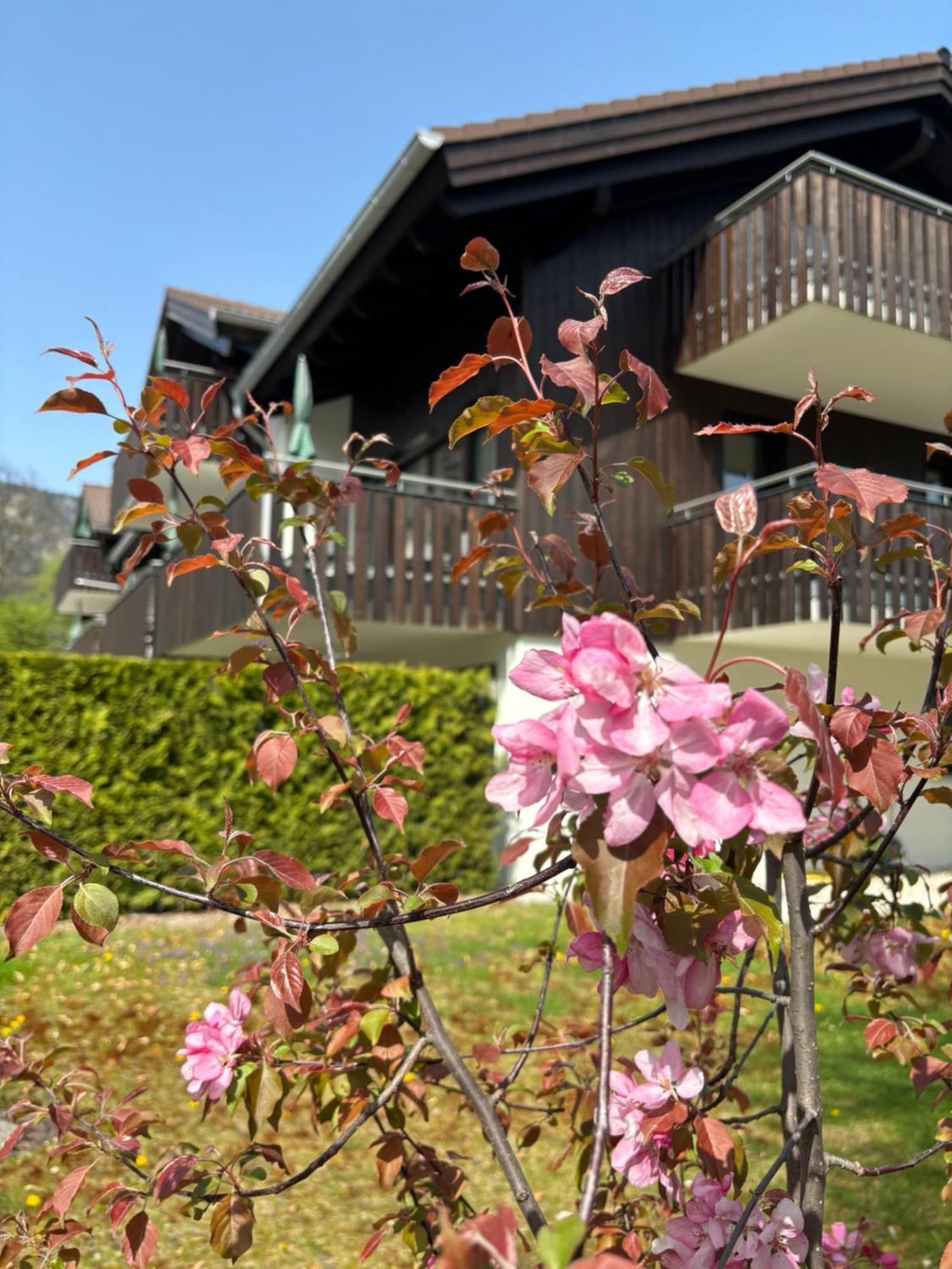 Bader Suites Garmisch-Partenkirchen Exterior photo